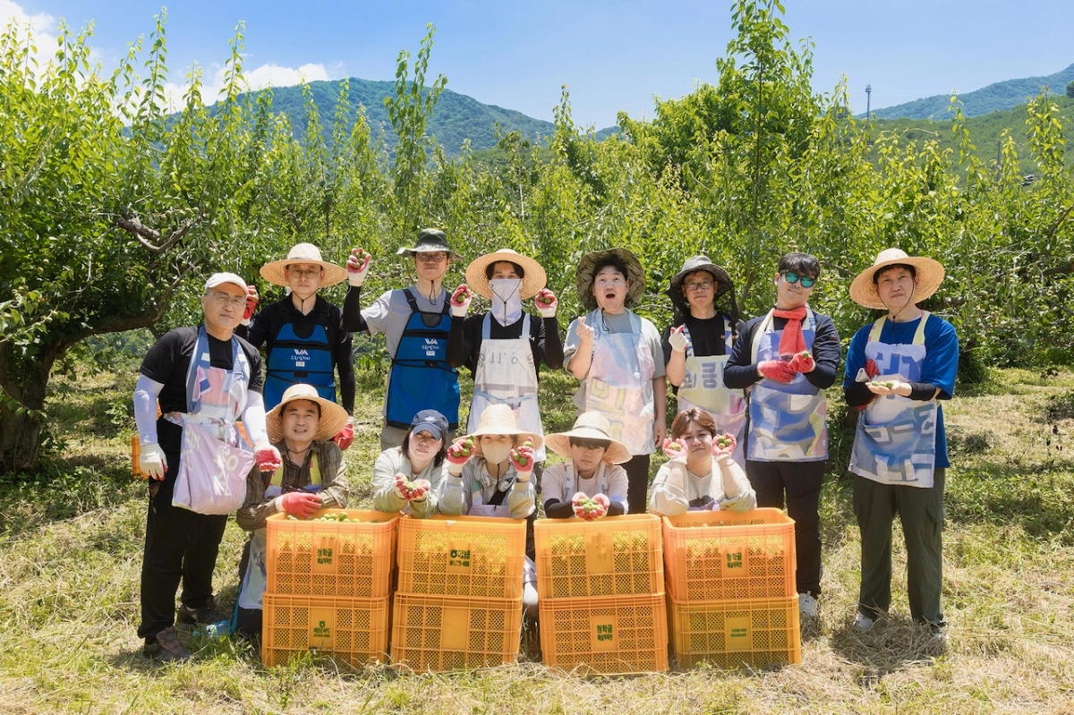 광양경자청 직원들이 매실 수확과 선별 작업 등 농가 일손 돕기에 나섰다.