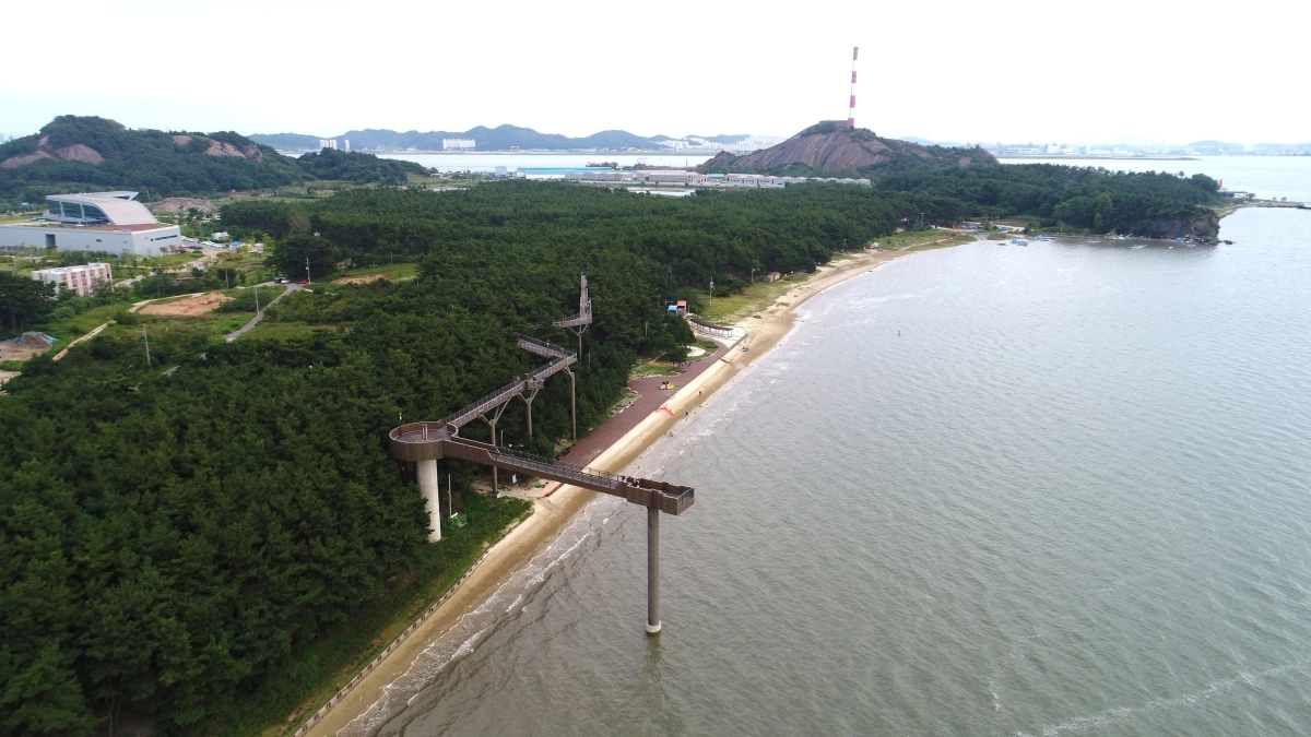 충남 서천군-장항송림산림욕장과 스카이워크 전경. 충남도 제공