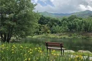 거울연못 수놓은 꽃창포 물결…국립백두대간수목원 특별전