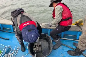 지난해 전국 12t 그친 꼬막 생산량 회복 방안은?