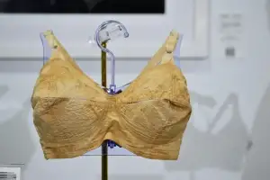 “女배우가 입었던 낡은 속옷 살래요!” 낙찰가 3000만원 예측…무슨 일?