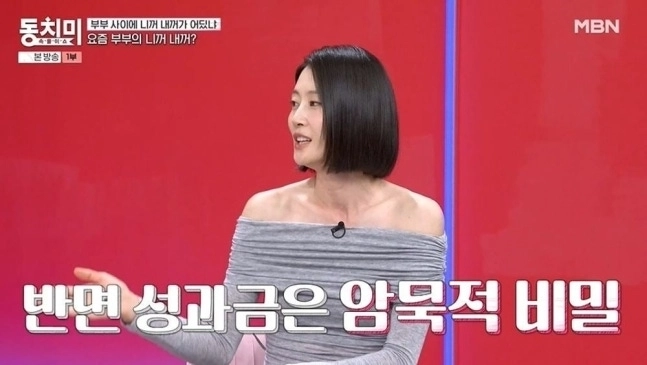 MBN 예능 ‘속풀이쇼 동치미’ 방송화면 캡처