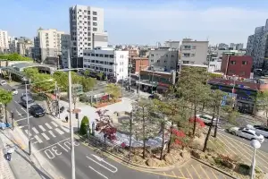 양천구, ‘1004개 테마정원’ 조성 박차…사계절 꽃피는 도시