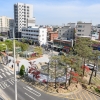 양천구, ‘1004개 테마정원’ 조성 박차…사계절 꽃피는 도시
