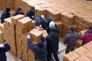 제주도, 이재명 정부 첫 지자체 남북교류 성사… 한라봉 묘목 50그루 등 북한에 보냈다