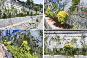 서대문구, 홍제천 포방교 일대 축대에 피운 ‘꽃담길’