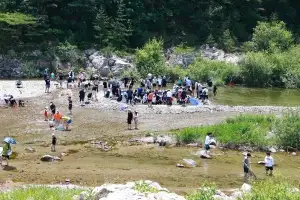 대나무로 피라미 잡자…경북 울진군 왕피천 계곡서 축제