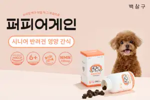 케이뷰티월드와이드, 반려동물 식품 브랜드 ‘백살구’ 런칭.. 첫 제품 ‘퍼피어게인’ 출시