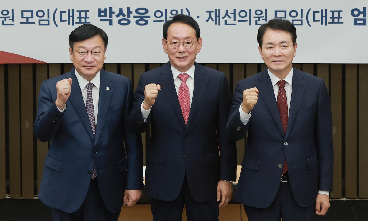 국민의힘 차기 원내대표 선거에 출마한 김도읍(가운데)·정점식(왼쪽)·성일종 의원이 9일 국회에서 국민의힘 초·재선 의원들이 연 원내대표 후보자 초청 간담회에 참석해 기념 촬영하고 있다. 2026.6.9 연합뉴스