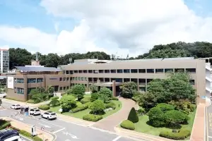 파주 축구장 17개 면적 軍보호구역 규제 완화