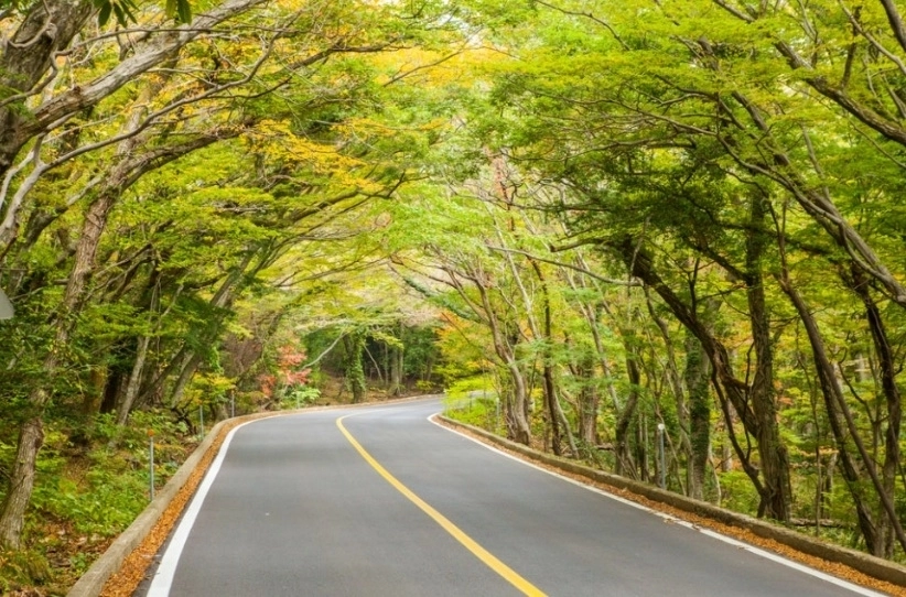 제주도가 대표 산간도로인 ‘516도로’ 명칭 변경과 관련 도민의견을 수렴한 결과 현행 유지 의견이 높은 것으로 나타나 도로명을 현행대로 유지하기로 결정했다. 제주도 제공
