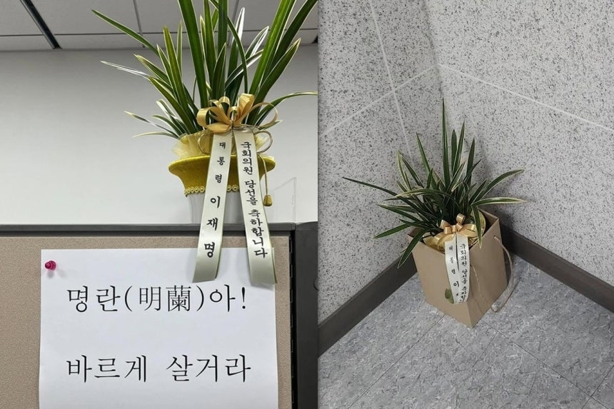 김태규 국민의힘 의원이 이재명 대통령 명의의 당선 축하난을 거절했다가 “난이 무슨 죄가 있겠나”라며 다시 수령 의사를 밝혔다. 김태규 의원 페이스북 캡처