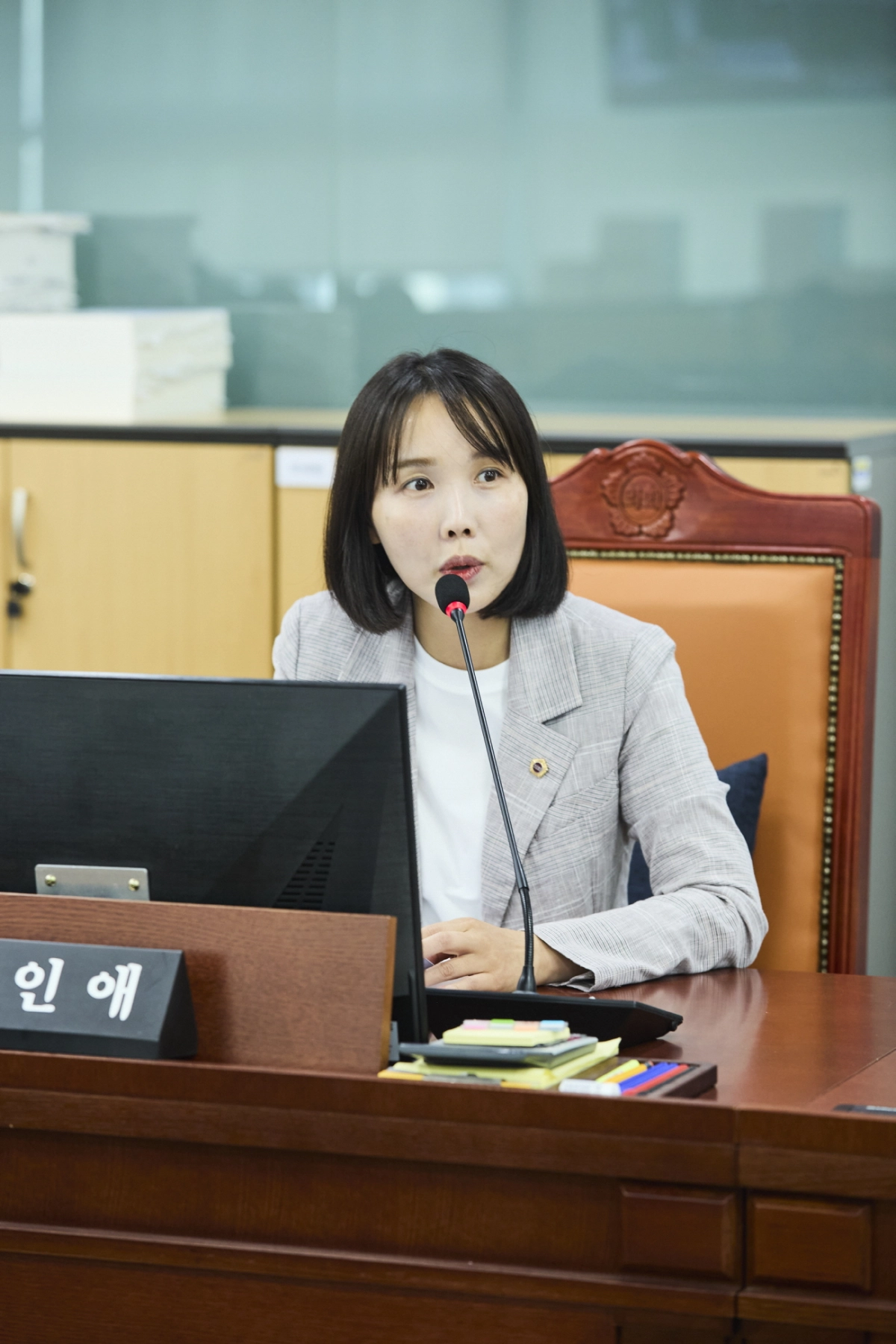 이인애 의원.(사진=경기도의회)