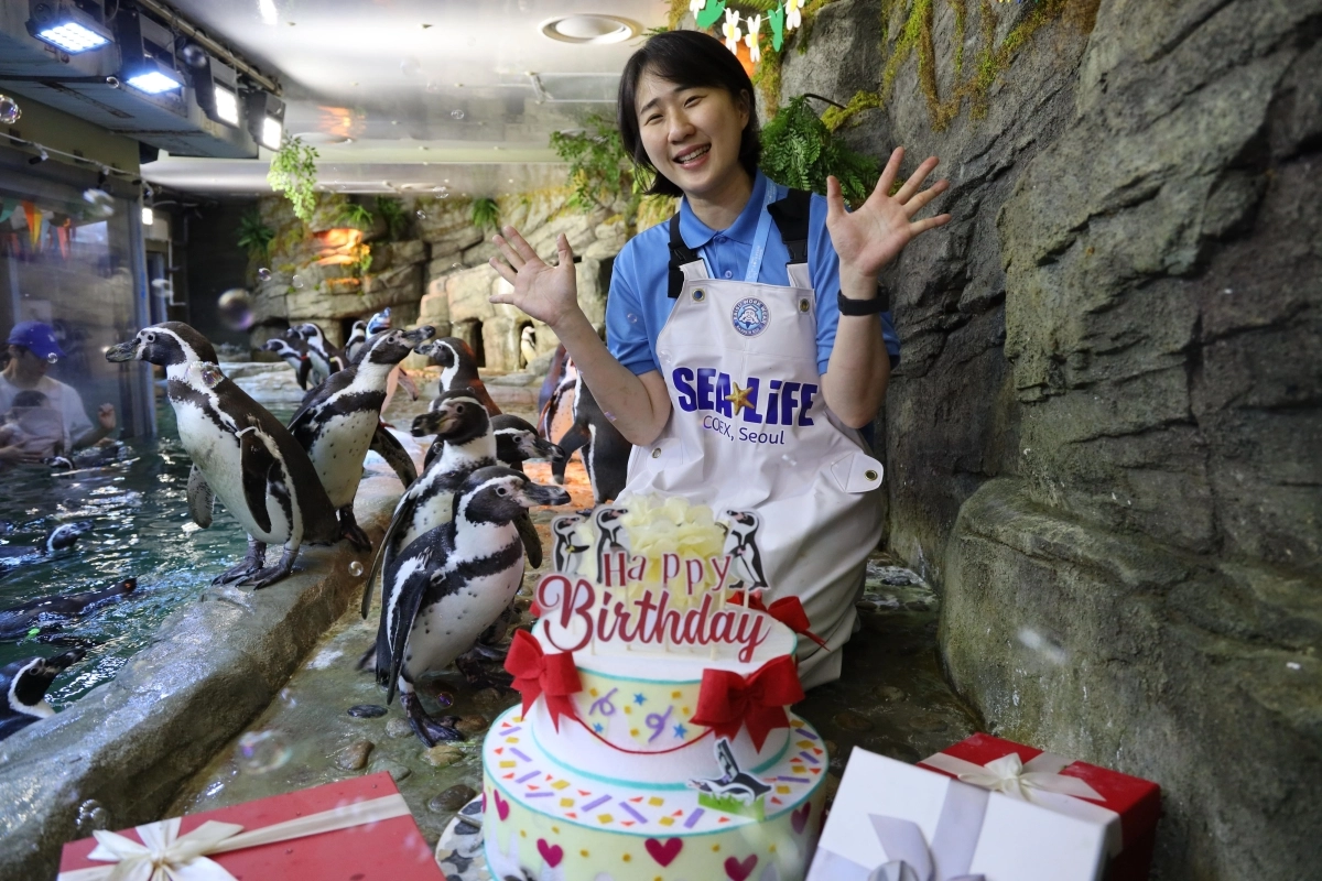 사람 나이로 100세 펭귄 생일파티