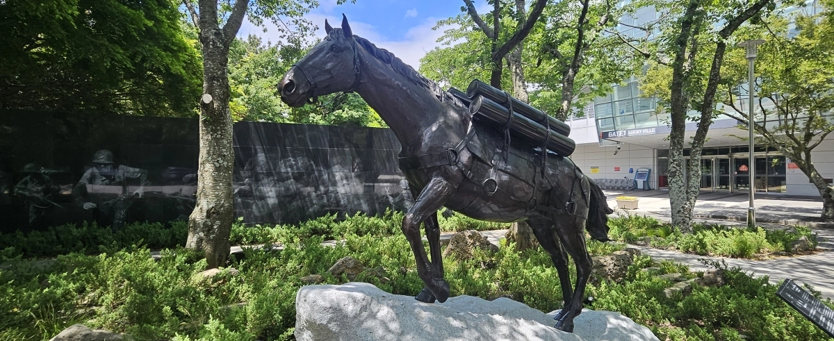 제주도는 오는 24일 제21회 제주포럼에서 ‘제주 군마 레클리스가 전하는 글로벌 협력의 메시지’를 주제로 한 세션을 제주돌문화공원에서 진행한다. 사진은 렛츠런파크 제주에 세워진 한국전쟁 영웅 레클리스 기념동상. 제주 강동삼 기자