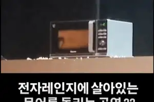 밟히고 찢겨진 낙지가 무대 위에서 꿈틀…‘잔혹 공연’ 비판에 결국