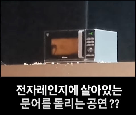 지난 7일과 9일 아르코예술극장 대극장에서 공연된 제45회 국제현대무용제(MODAFE 2026) 공연작 ‘도파민네이션’에서 살아있는 낙지를 바닥에 던진 뒤 찢고 문어를 전자레인지에 넣어 돌리는 장면이 연출됐다. 자료 : 동물권단체 케어