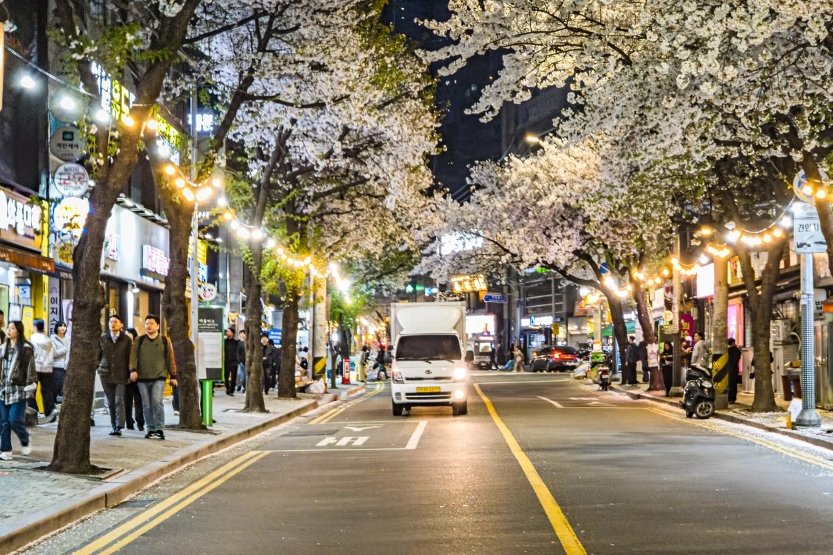 지난 4월 2일 밤 동작구 만양로에 만개한 벚꽃 사이로 시민들이 여유롭게 걷고 있다. ‘만나로 상권’은 지난 1월 서울시의 ‘2026 로컬브랜드 상권 육성사업’에 선정됐다. 동작구 제공