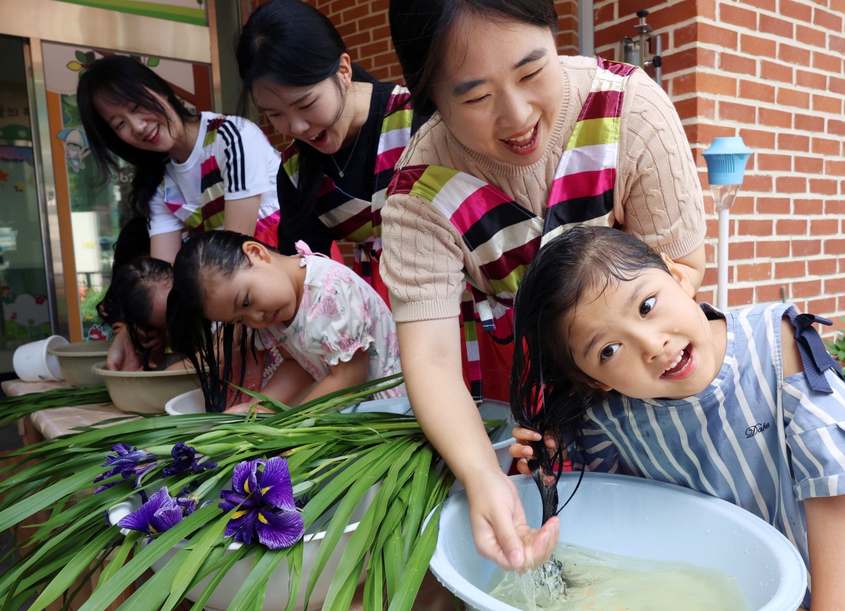 19일 단오… 창포물에 머리 감아요