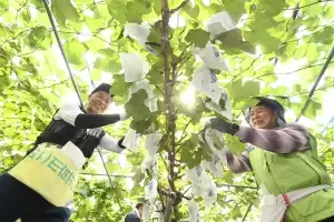 “무럭무럭 자라 알알이 맺히길”