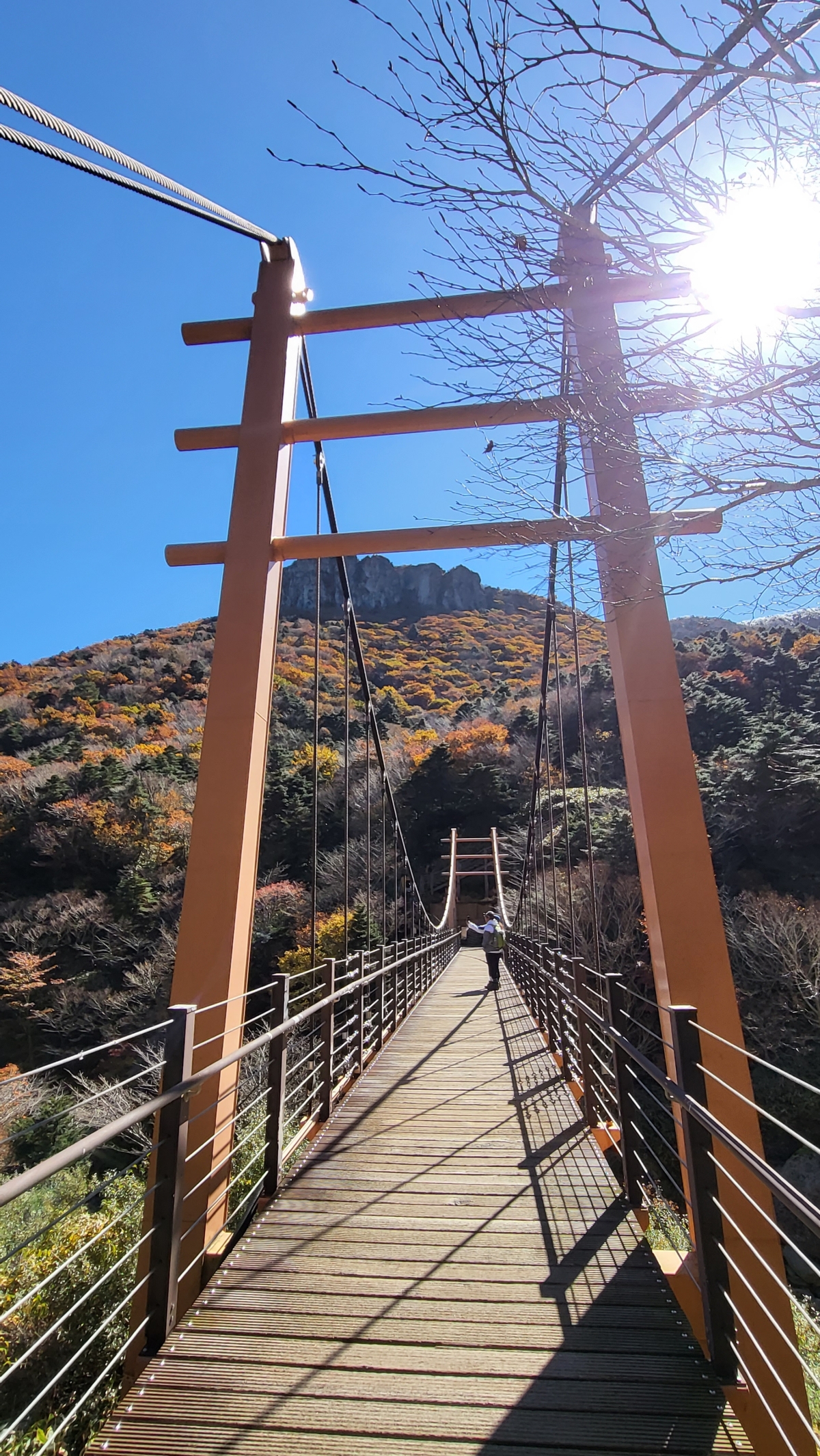 한라산 삼각봉 출렁다리 전경. 제주 강동삼 기자