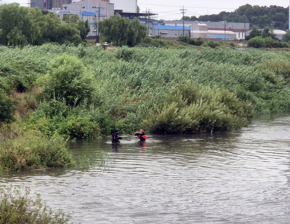 20일 오전 6시 8분쯤 충남 아산시 실옥동 곡교천에서 낚시하던 낚시꾼이 불어난 강물에 고립돼 소방대원들이 구조작업을 벌이고 있다. 2026.6.20 충남소방본부 제공