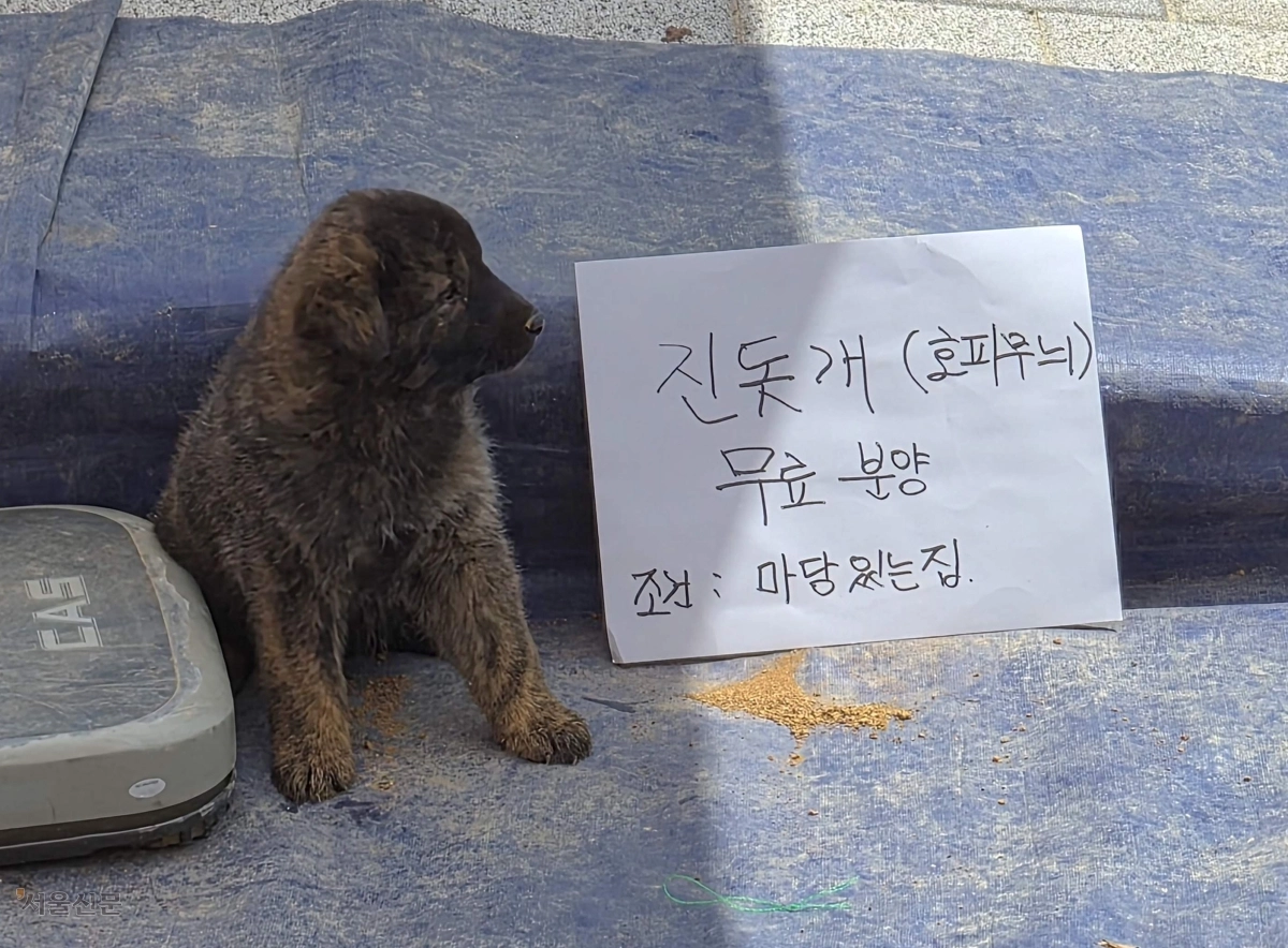 따뜻한 분양