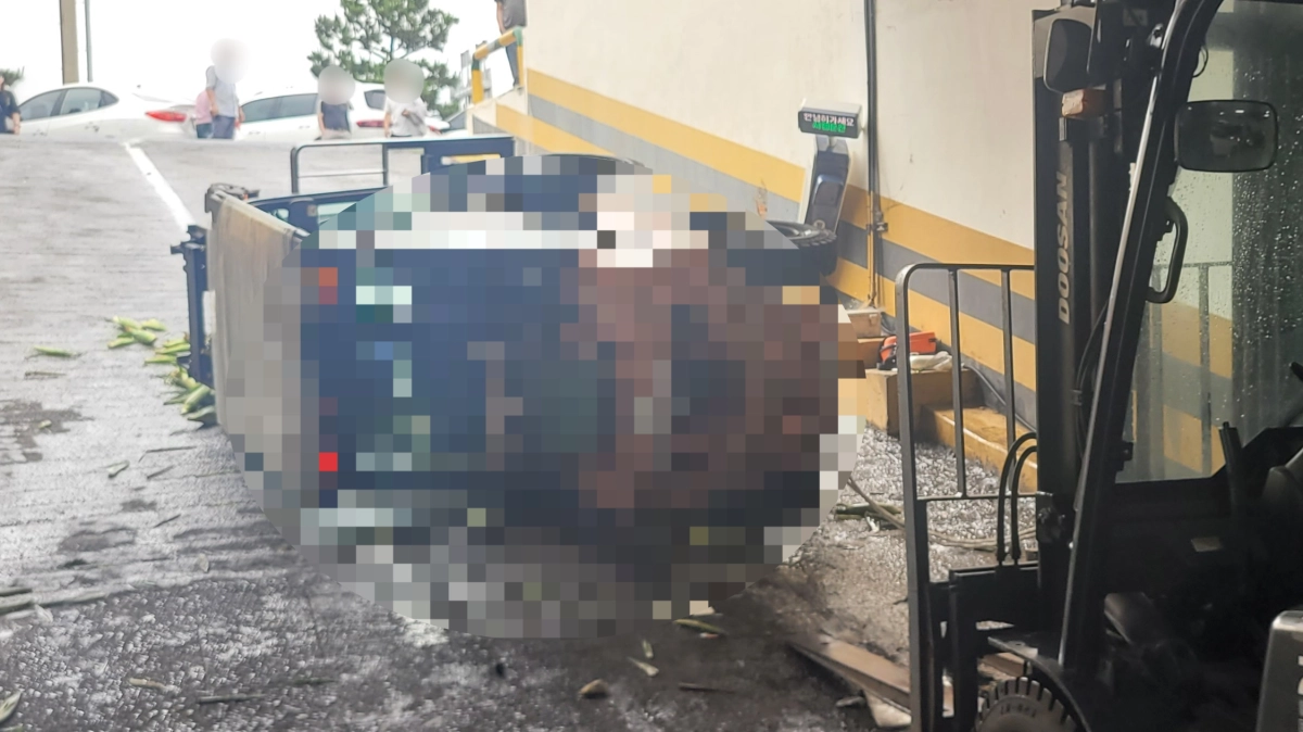 지난 19일 오후 3시쯤 제주시 애월읍 하나로마트에서 근무하던 20대 직원 A씨가 지게차 작업 중 차량에 깔리는 사고가 발생했다. 제주도소방안전본부 제공