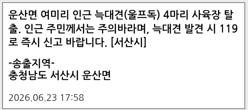 늑대개가 사육장에서 탈출했다는 서산시 재난문자. 안전디딤돌 앱 캡쳐