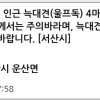 서산·당진 늑대견(울프독) 주의…탈출한 4마리 포획중