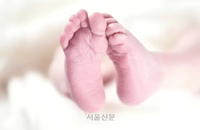신생아 자료사진. 서울신문DB