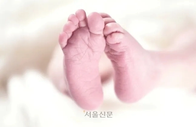 신생아 자료사진. 서울신문DB