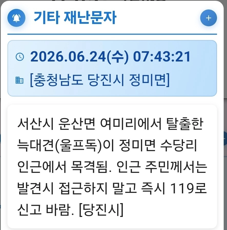 충남 서산시 운산면 여미리에서 탈출한 늑대개와 관련해 인근 당진시가 발송한 재난문자.