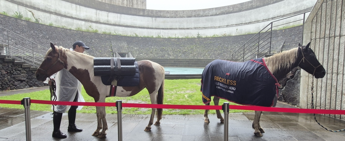 24일 제주돌문화공원에서 열린 제21회 제주포럼 레클리스 특별세션이 열리는 큰바위쉼팡 앞에 레클리스와 품종이 같은 제주마가 레클리스처럼 탄약을 짊어지는 모습을 연출하며 퍼포먼스를 펼치고 있다. 제주 강동삼 기자