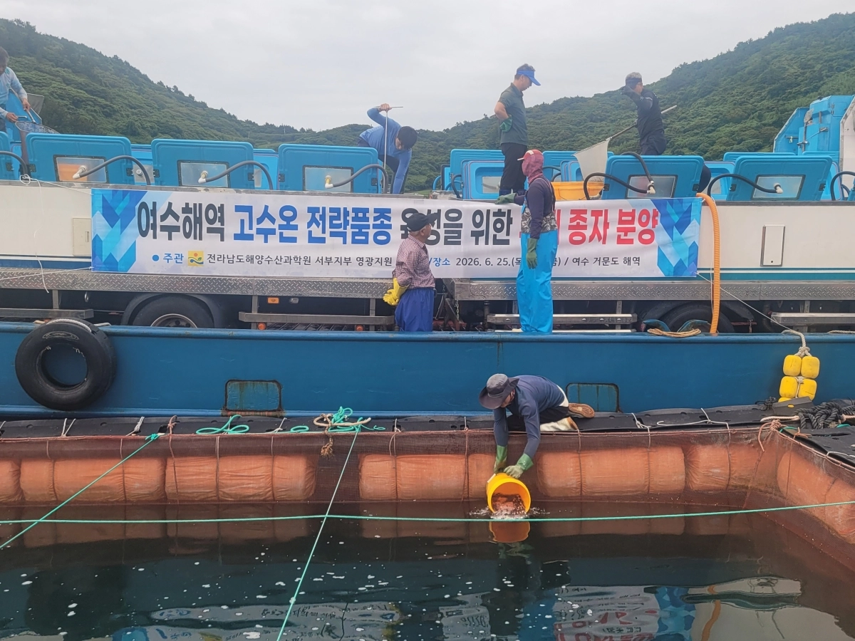 전라남도해양수산과학원이 지난 26일 부세 종자를 여수 거문도 해상가두리 양식장에 분양하고 있다.