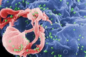 “국내 HIV 감염 아동 1명 발생”… ‘성 접촉’ 통한 신규 환자가 99%