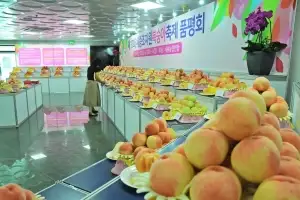 ‘고향 사랑 기부’, 지역 축제 연계로 ‘쏠쏠’