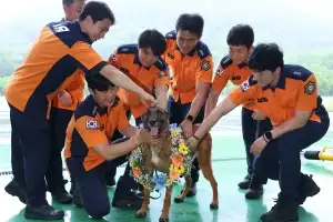 281회 출동해 16명 구조 명예로운 은퇴…119 구조견 ‘충성’ 새 가족 품으로