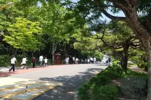 thumbnail - 한여름 그늘 드리운 가로수, 도시 폭염 식히는 ‘천연 에어컨’