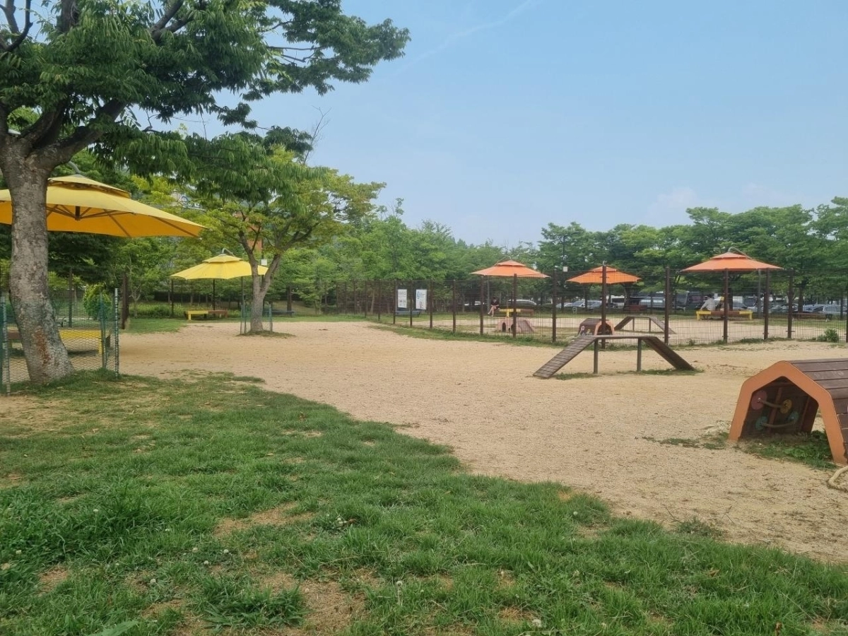 월미공원 반려견 놀이터. 공원사업소 제공