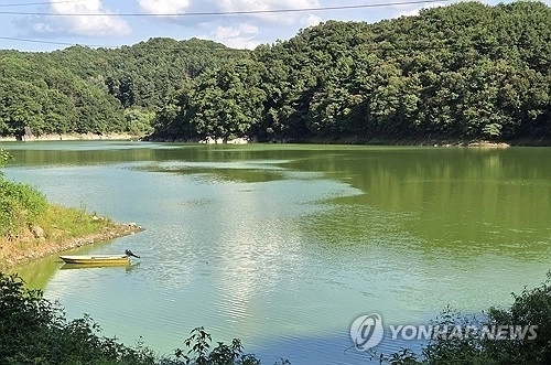 작년 8월 20일 녹조가 발생한 대청호. 연합뉴스