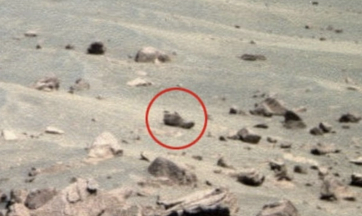워링은 암석으로 보이는 물체가 신발이라고 주장하기도 했다. NASA
