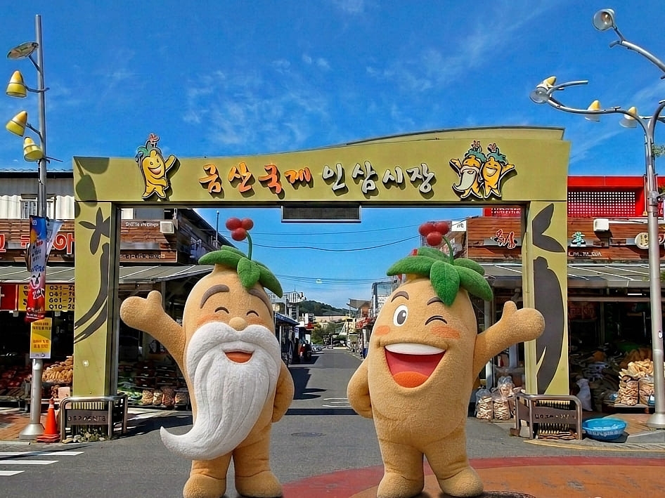 금산세계인삼엑스포광장. 금산군 제공