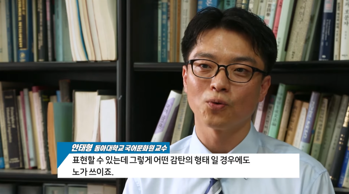 언어학자인 안태형 동아대 기초교양대학 교수가 동남방언에서 ‘노’가 의문형뿐 아니라 감탄형으로도 쓰인다고 설명하고 있다. 유튜브 채널 ‘헬로tv뉴스’ 캡처