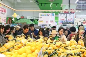 中 수출길 뚫고 AI 영농 확대… 올해 ‘성주 참외’ 매출 7000억 도약 원년