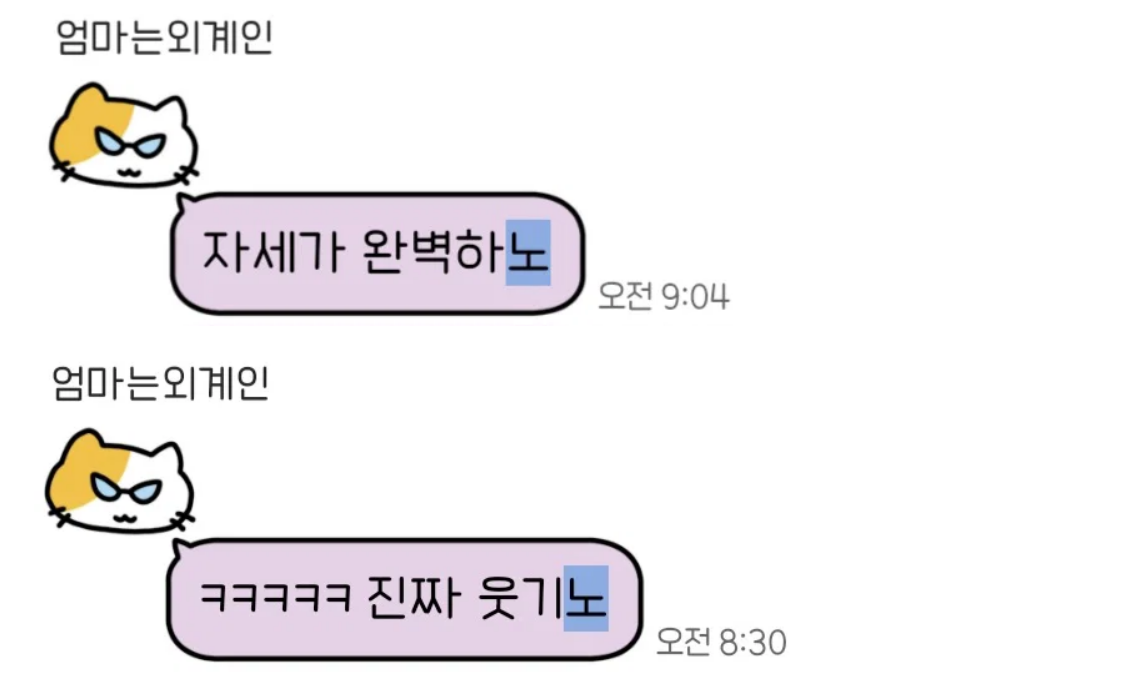 한 네티즌이 1967년생인 자신의 어머니도 의문문이 아닌 평서문에서도 ‘노’를 사용한다며 올린 카카오톡 대화 일부. 온라인 커뮤니티 ‘더쿠’ 캡처