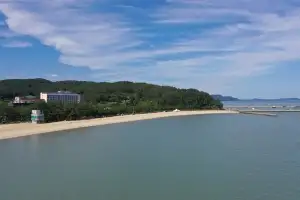 울창한 해송림 ‘보성 율포솔밭해수욕장’ 11일 개장