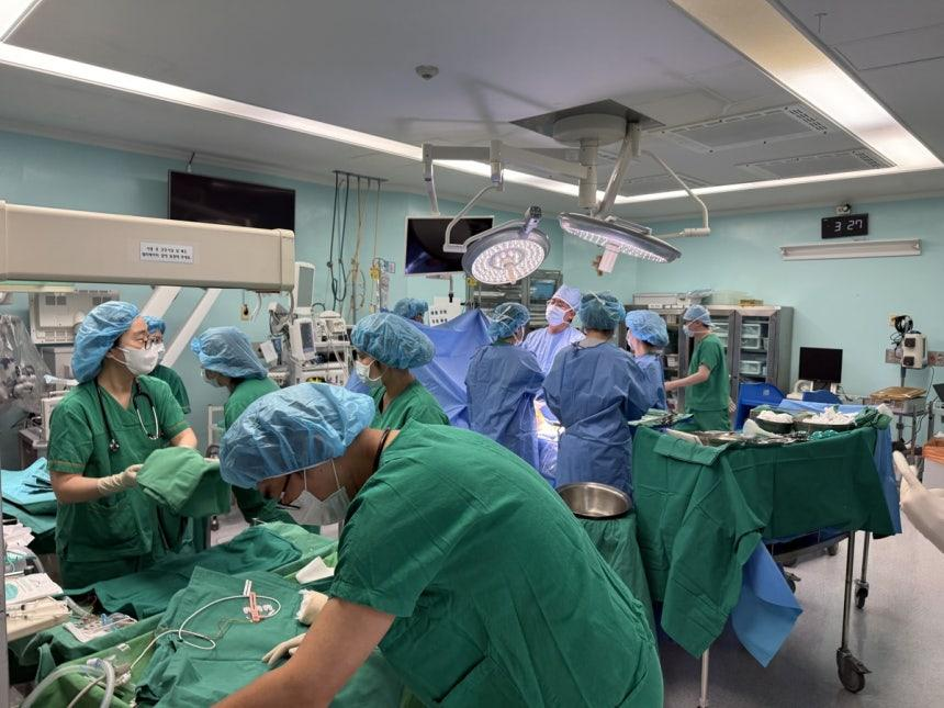 지난달 제주도에서 대구가톨릭대병원으로 이송된 임신 27주차 산모가 한 달 만인 지난 4일 긴급 분만을 통해 세쌍둥이를 출산했다. 대구가톨릭대병원 제공