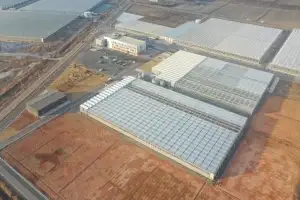 전남광주통합특별시, AI 영농형 태양광 기반 스마트팜 실증