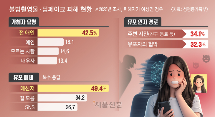 불법촬영·딥페이크 피해 현황. 조숙빈 기자